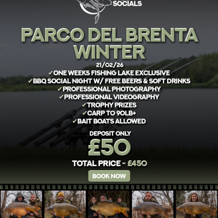 Parco Del Brenta - Winter